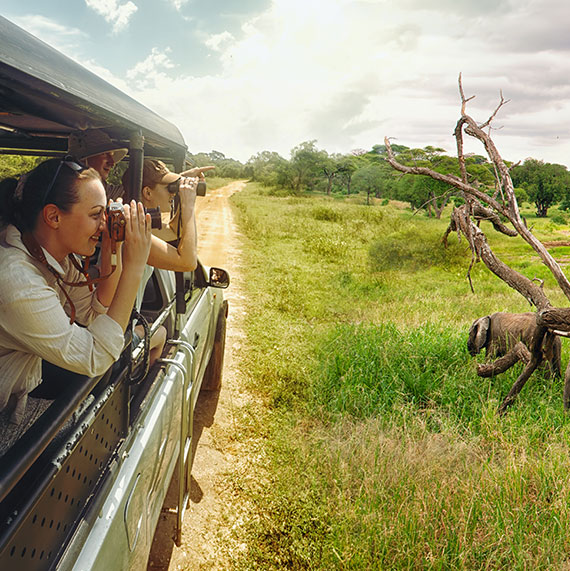 Wildlife Travel Company in Nagpur- Jungle Safariwala